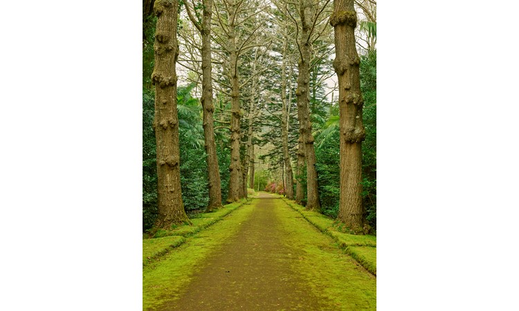 Terra Nostra Park