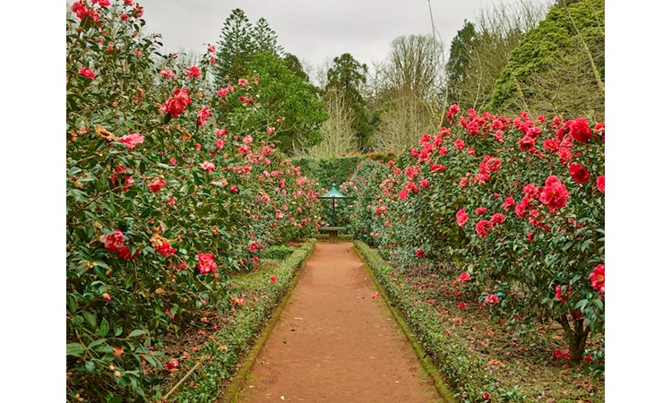 Terra Nostra Park