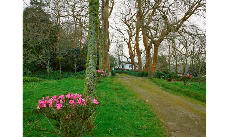 Pictoresque Garden