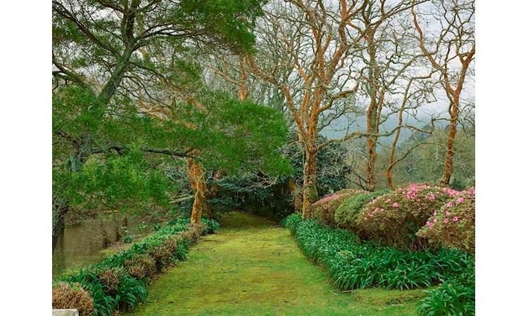 Pictoresque Garden