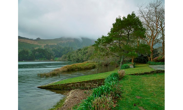 Pictoresque Garden