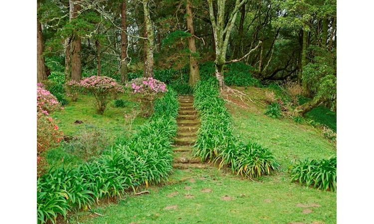 Pictoresque Garden