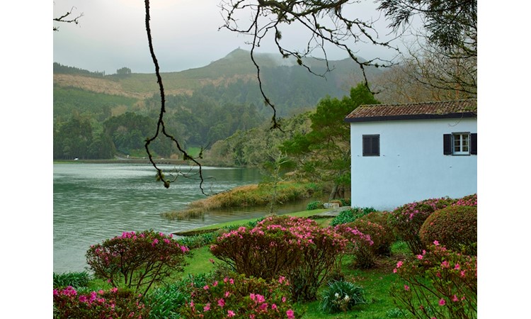 Pictoresque Garden