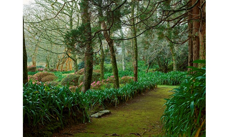Pictoresque Garden