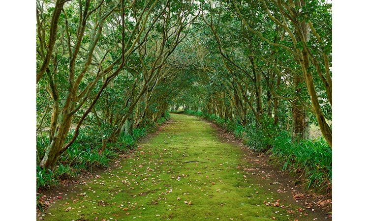Pictoresque Garden