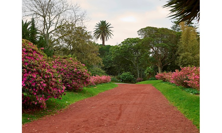 António Borges Garden