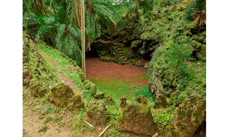 António Borges Garden