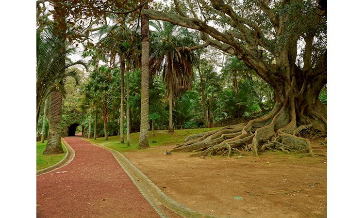 António Borges Garden