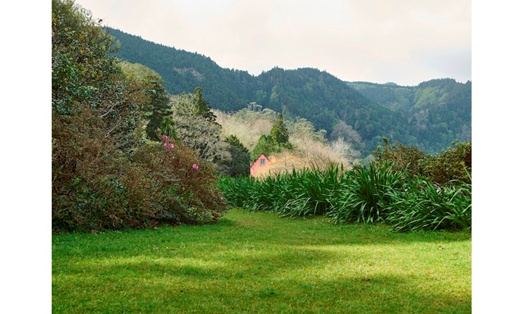 José do Canto Woodland Garden