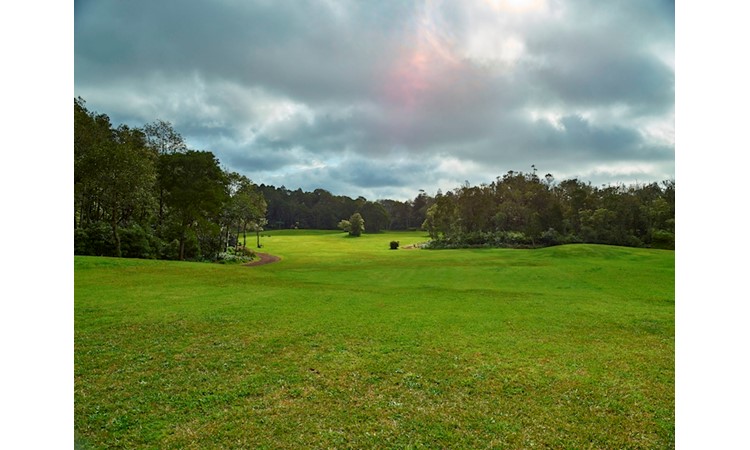 Pinhal da Paz Recreational Forest Reserve