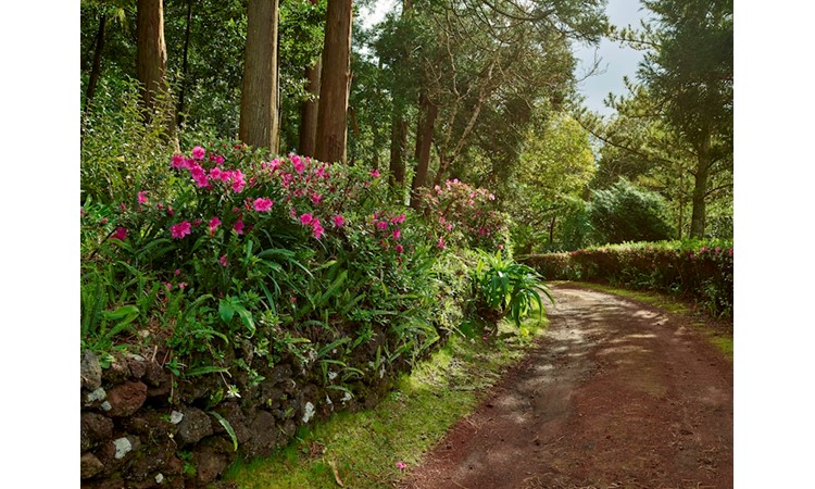 Pinhal da Paz Recreational Forest Reserve