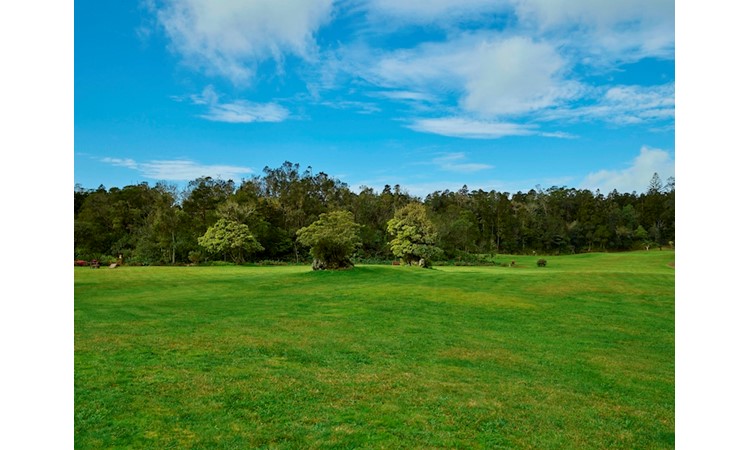 Pinhal da Paz Recreational Forest Reserve