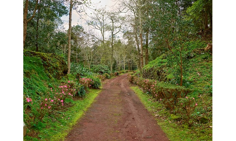 Pinhal da Paz Recreational Forest Reserve