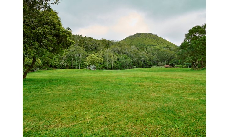 Pinhal da Paz Recreational Forest Reserve