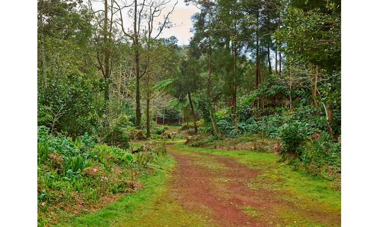 Pinhal da Paz Recreational Forest Reserve