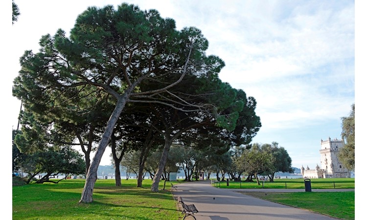 Garden of the Tower of Belém