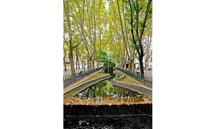 Avenida da Liberdade