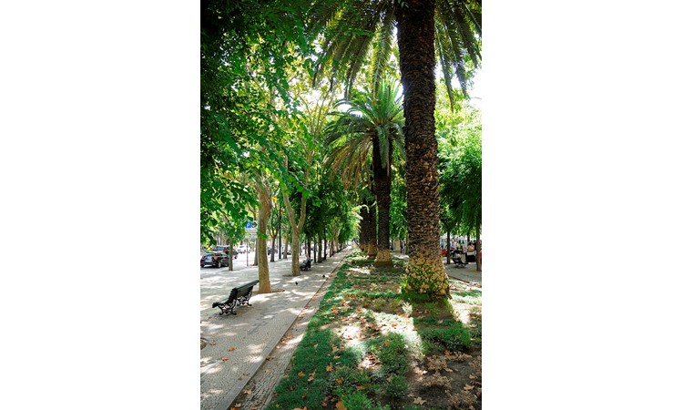 Avenida da Liberdade
