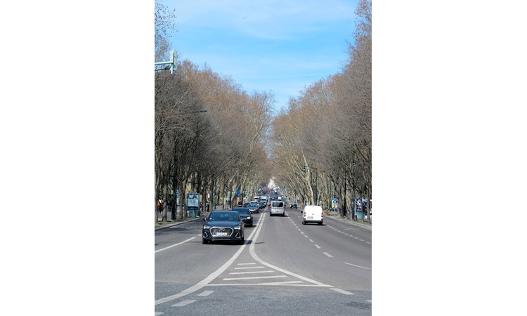 Avenida da Liberdade
