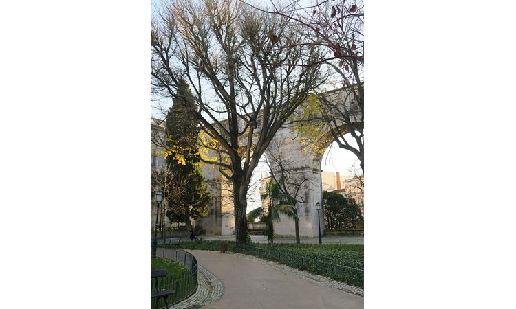 Amoreiras Garden