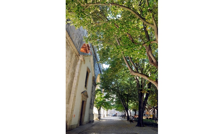 Amoreiras Garden
