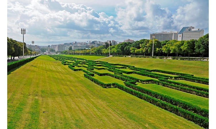 Eduardo VII Park and the Estufa Fria
