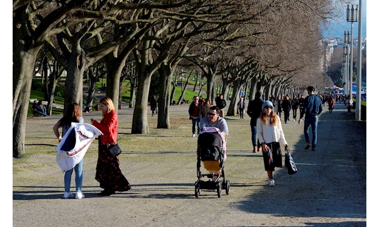 Eduardo VII Park and the Estufa Fria