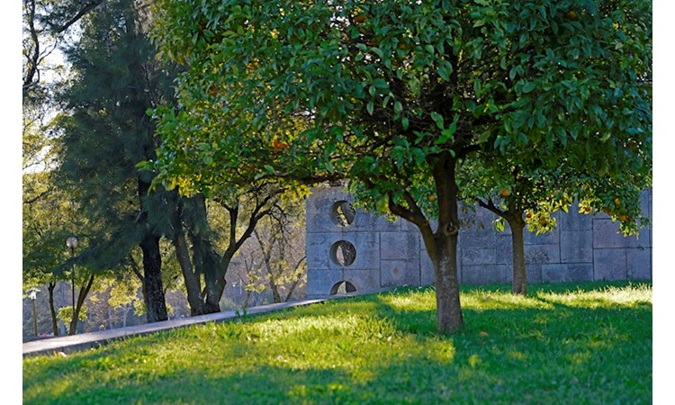 Eduardo VII Park and the Estufa Fria
