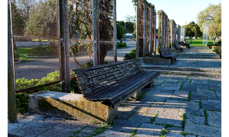 Eduardo VII Park and the Estufa Fria