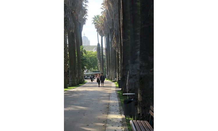 Tropical Botanical Garden