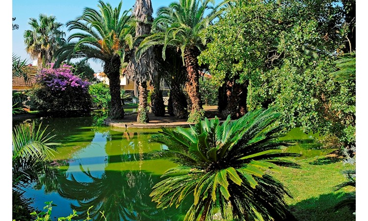 Tropical Botanical Garden