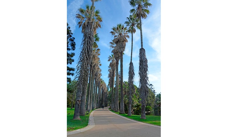 Tropical Botanical Garden