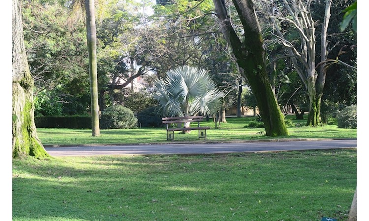 Tropical Botanical Garden