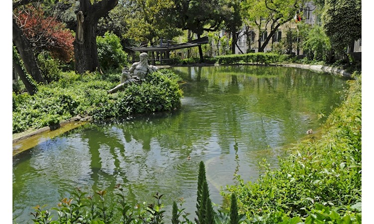 Estrela Garden
