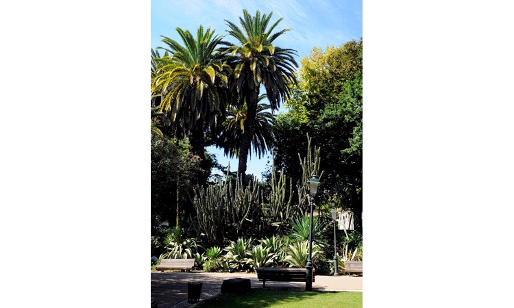Estrela Garden