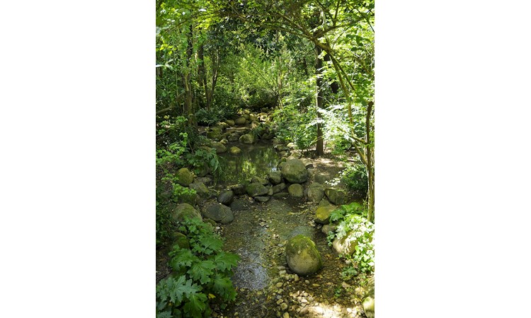 Garden of the Calouste Gulbenkian Foundation