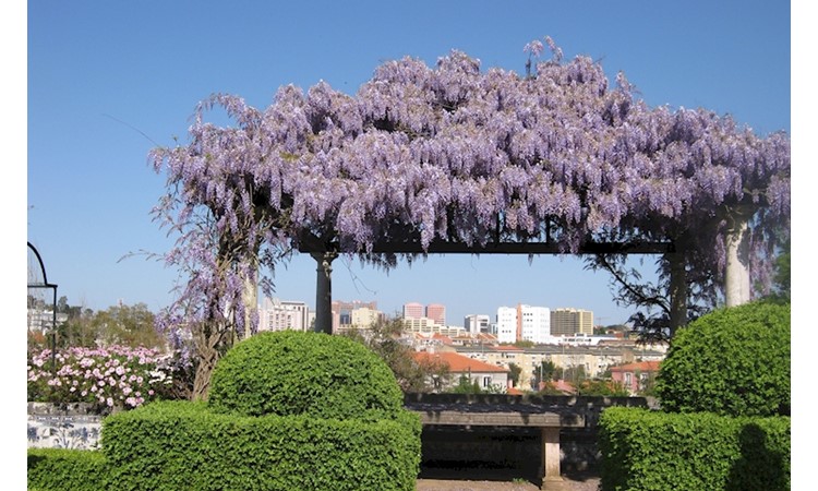 Palace of the Marquises of Fronteira (gardens)