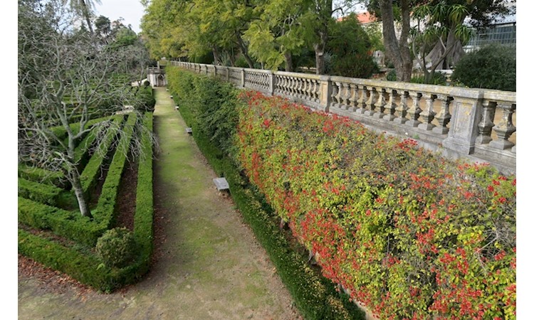 Ajuda Botanical Garden