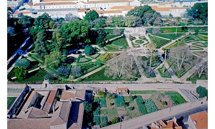 Ajuda Botanical Garden
