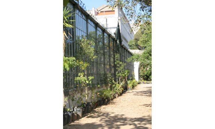 Ajuda Botanical Garden