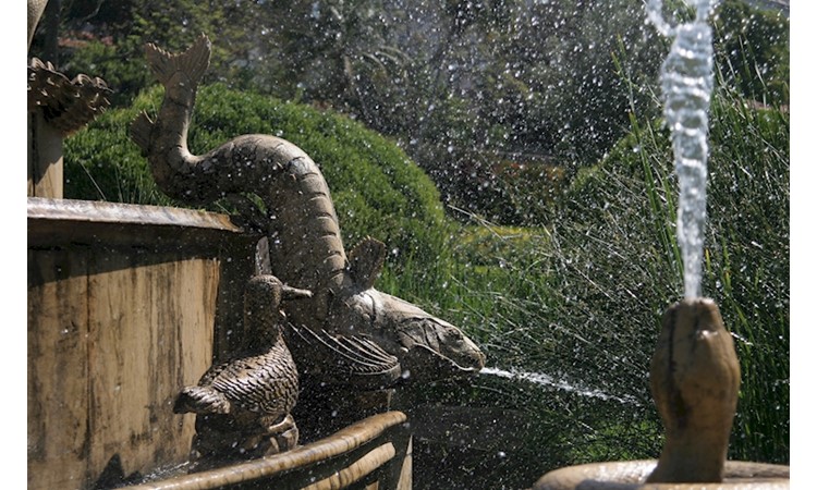 Ajuda Botanical Garden