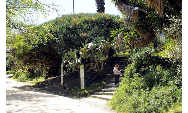 Lisboa Botanical Garden