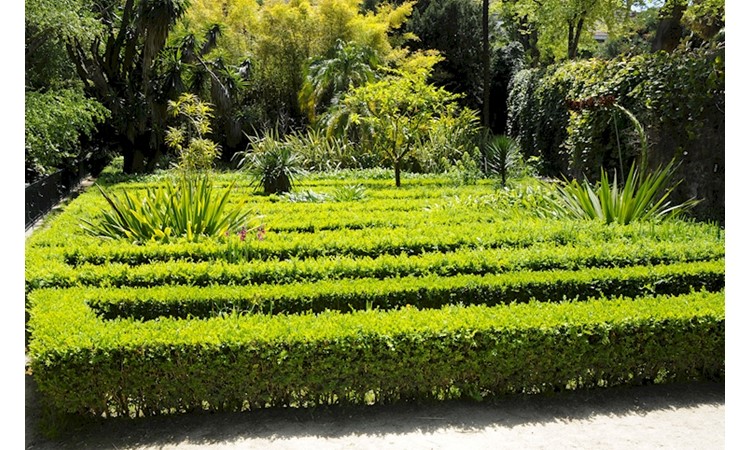 Lisboa Botanical Garden