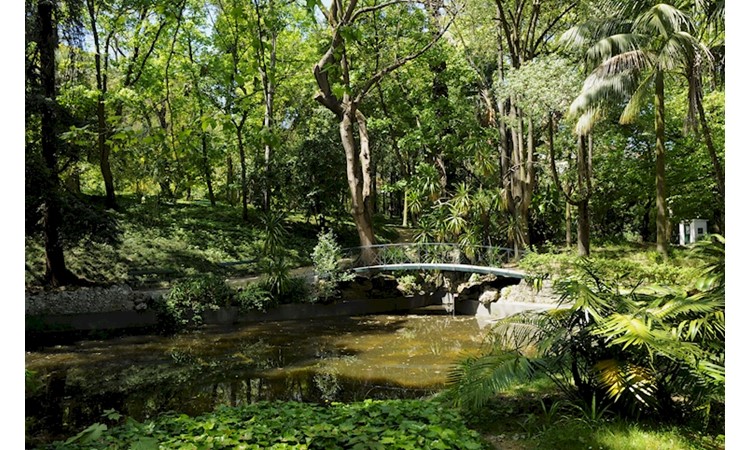 Lisboa Botanical Garden