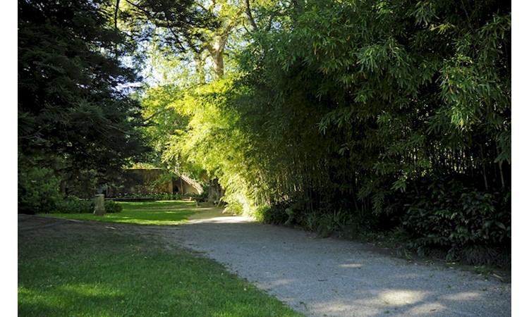 Monteiro-Mor Park