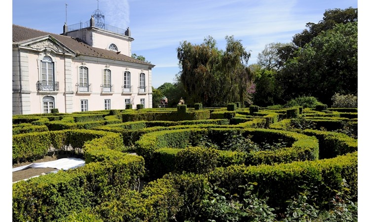 Monteiro-Mor Park
