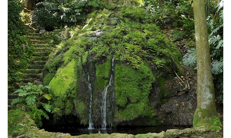 Monteiro-Mor Park