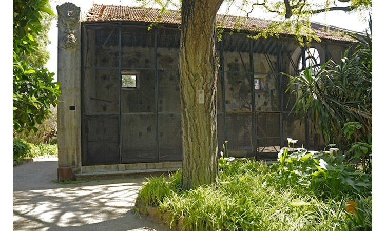 Monteiro-Mor Park