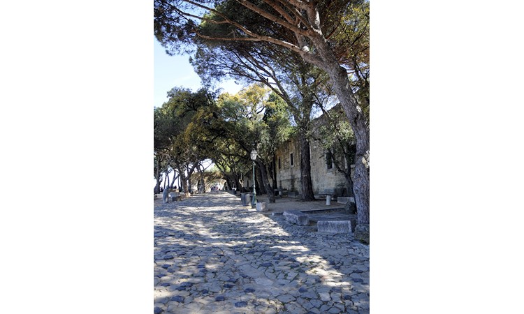 Garden of São Jorge Castle