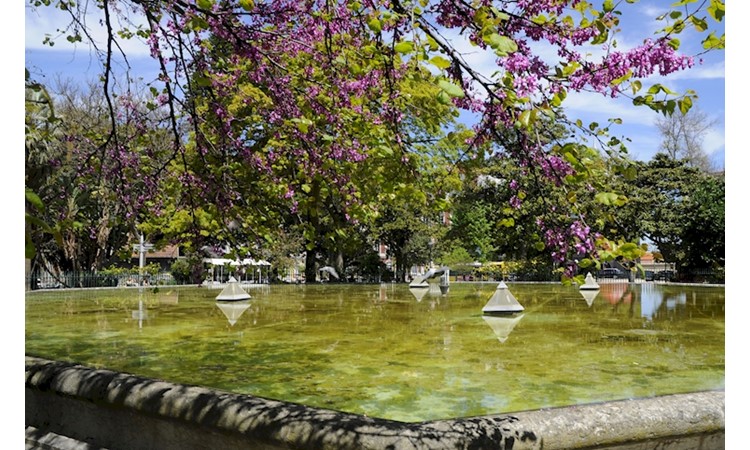 Príncipe Real Garden